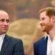 William e Harry
