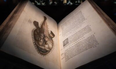Catastrofe e Meraviglia_Aqvatilivm animalivm historiae di Ippolito Salviani_ph.Olivia Rainaldi_AQVA