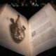 Catastrofe e Meraviglia_Aqvatilivm animalivm historiae di Ippolito Salviani_ph.Olivia Rainaldi_AQVA