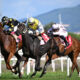 Centenario_20 sett_2026