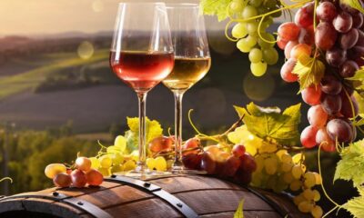 vendemmia