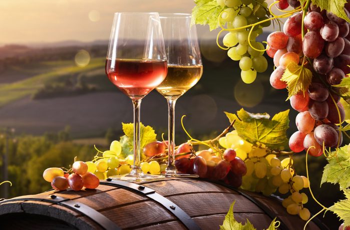 vendemmia