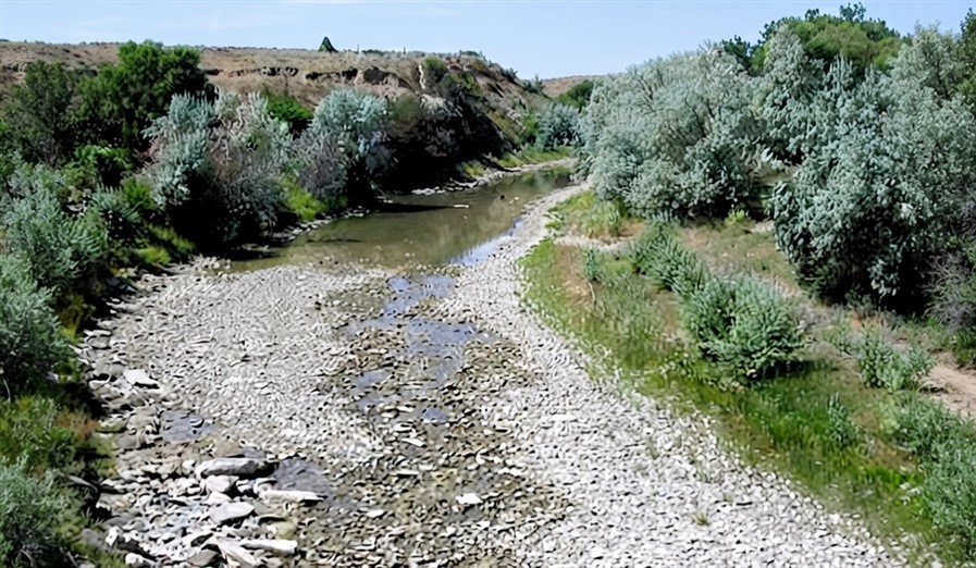 Fiume in secca