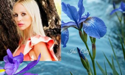Iris Calif