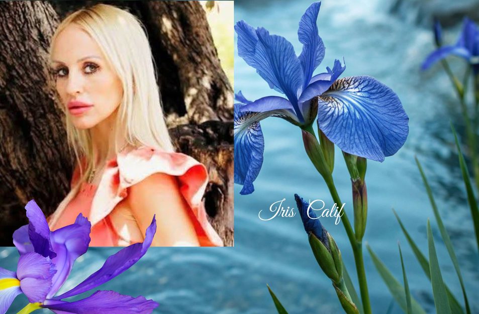 Iris Calif