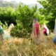 La Performance Agricole - Cie valuni -