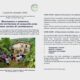 Locandina 28 settembre evento Roma