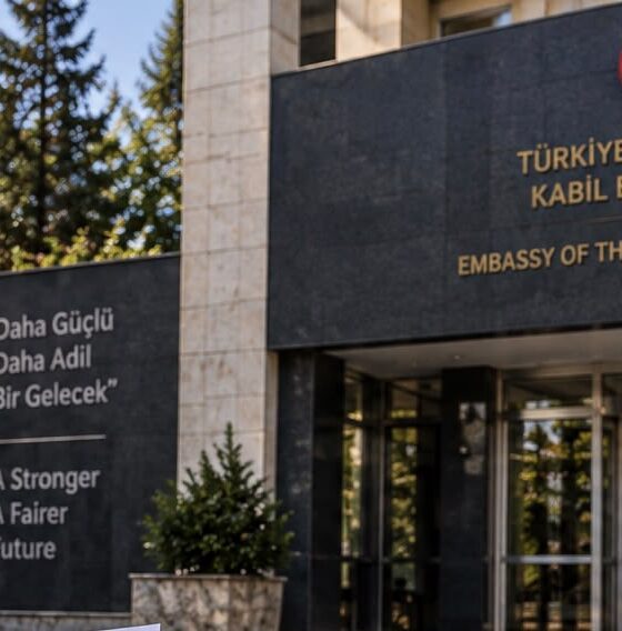 Accettati dalle università, respinti dal visto: il sogno di studiare in Turchia si spezza