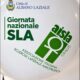 Locandina evento Albano Laziale