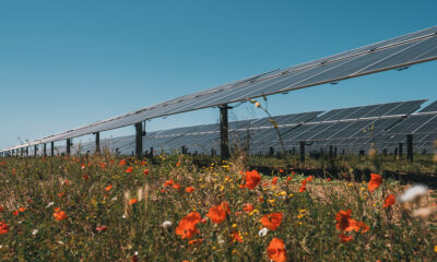 Energia rinnovabile