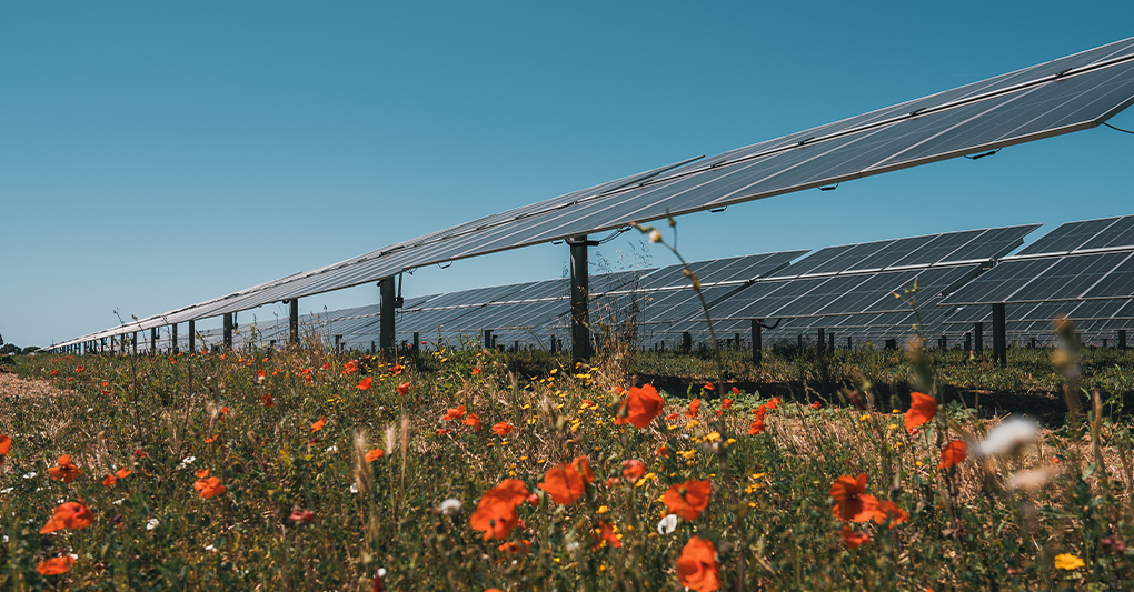 Energia rinnovabile