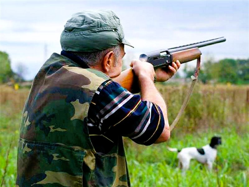 Tragedia all'alba tra i pascoli svizzeri: cacciatore fa fuoco e uccide per sbaglio un bellissimo cavallo. "Credevo fosse un cervo". Licenza revocata 163 Cacciatore