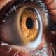 Cornea