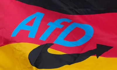 Afd, Germania