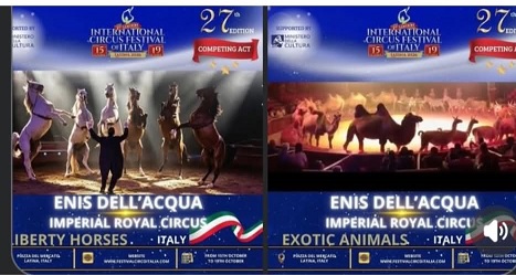 La Cavalleria Araba e lo shock acrobatico dei Kenya Boys consacrano il primo circo etico d'Europa: l'Imperial Royal Circus trionfa a Latina 46 l'Imperial Royal Circus trionfa a Latina