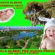 m_200mila-alberi-x-NPE