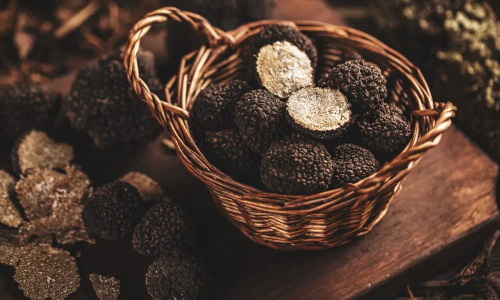 Tartufo