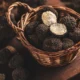Tartufo