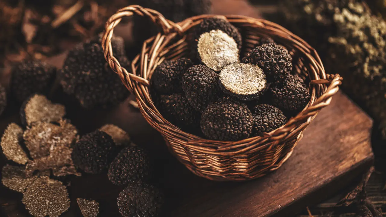 Tartufo