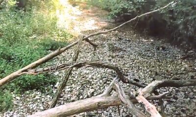 fiume Turano in secca