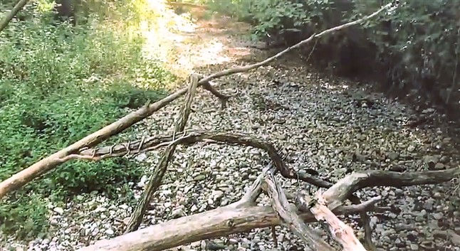 fiume Turano in secca