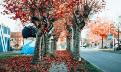 Autunno