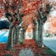 Autunno