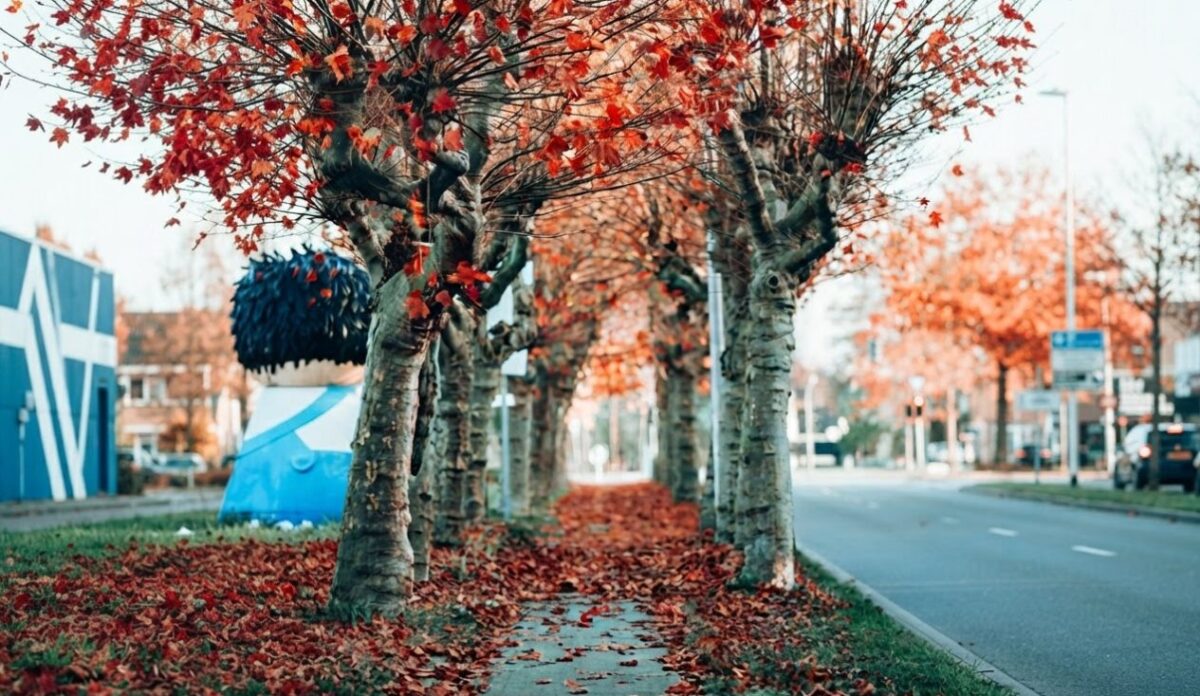 Autunno