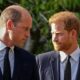 William e Harry