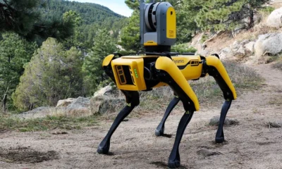 Cane robot