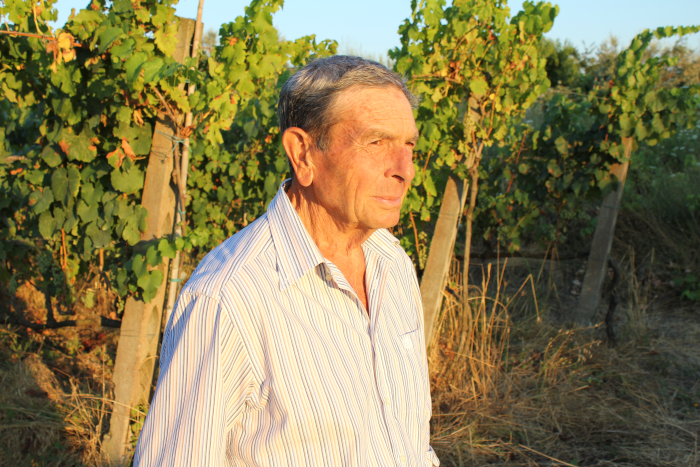 Dino Limiti trionfa con il Leone d’Oro: a Roma il prestigioso riconoscimento all'eccellenza vitivinicola di Marino e dei Castelli Romani 46 Dino Limiti