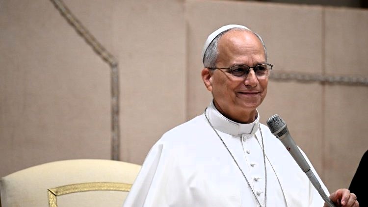 Papa Leone XIV ricoverato al Gemelli, l'intervento al polmone già oggi: Parolin parla di «fulmine a ciel sereno», la rivelazione di Kikuchi 47 Papa Leone XIV
