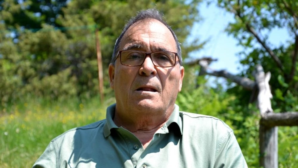 Giustino Zulli