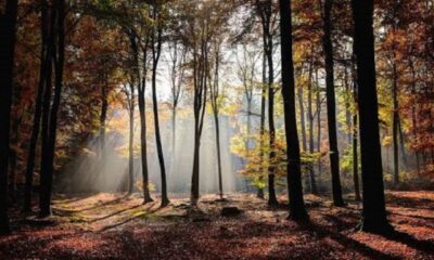 Oricola - la leggenda del generale Sisara ed il bosco di Sesera