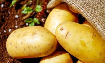 Patate