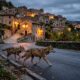 lupi_centro_abitato_abruzzo_1200x675