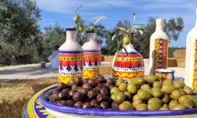 olive+nodellara+del+belice+dop