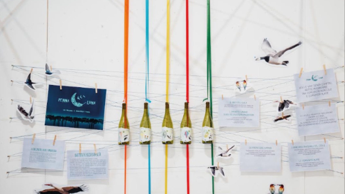 Le rotte migratorie degli uccelli sulle etichette del vino: le cantine di Orsogna e Vasto lanciano Pennaluna per la biodiversità e i corridoi ecologici 48 pennaluna migrazioni orsogna san michele arcangelo vini 1