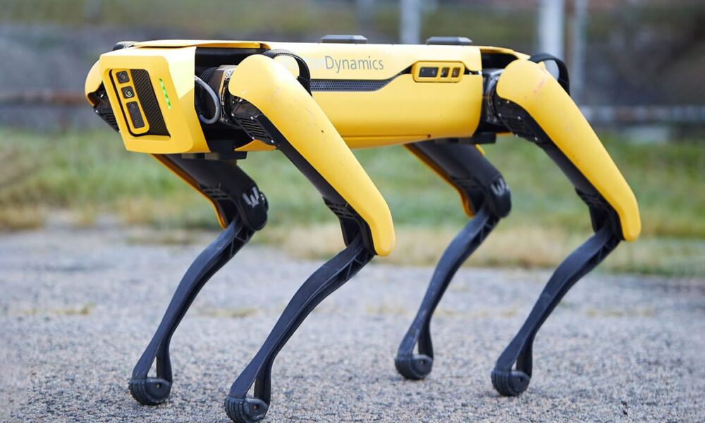 Cane robot contro i lupi: la svolta hi-tech per salvare gli allevamenti 63 Cane robot