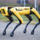 Cane robot